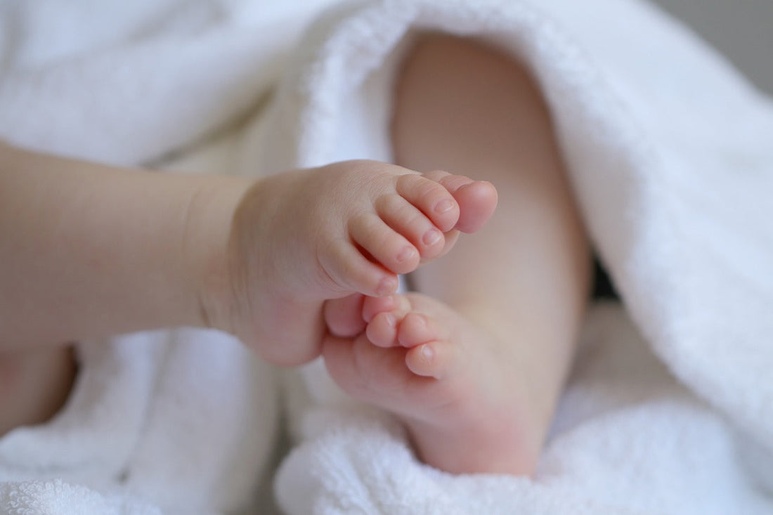 Which Oil is Best for Baby Skin: Plum Kernel, Peach Kernel, or Apricot Kernel ?