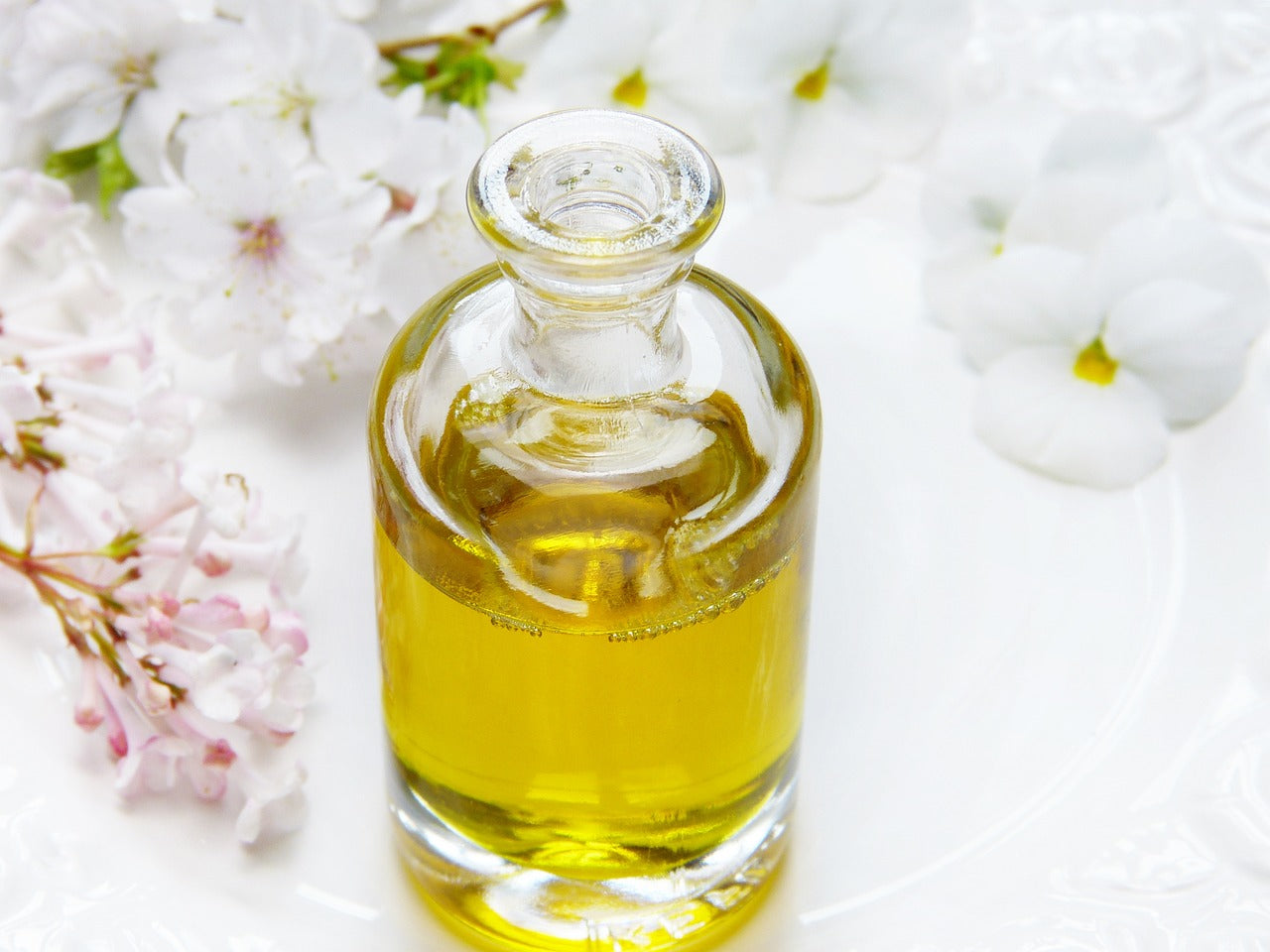 Why Organic Plum Oil Is a Must-Have in Every Skincare Ritual