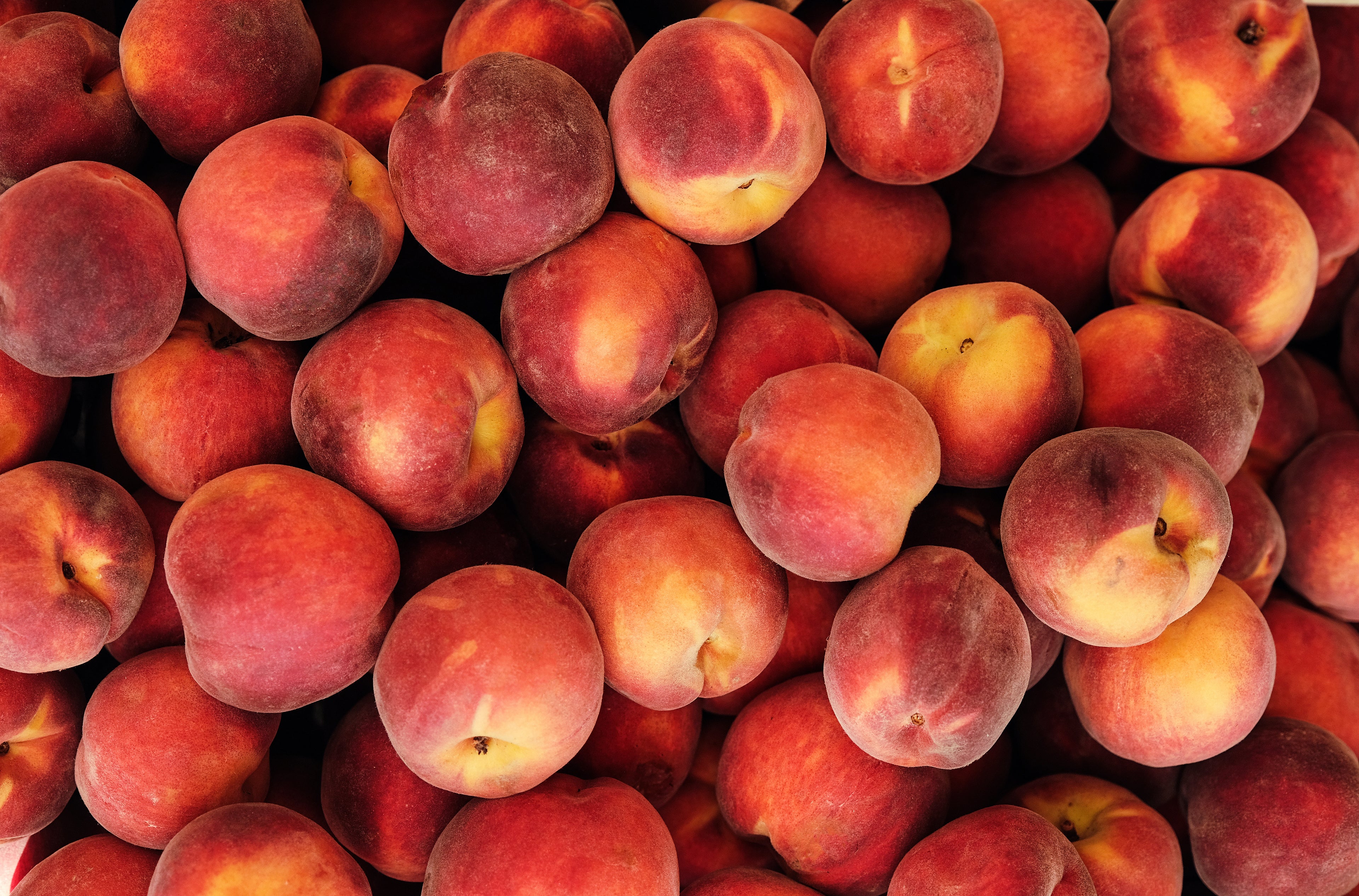 Natural PEACH Kernel Oil