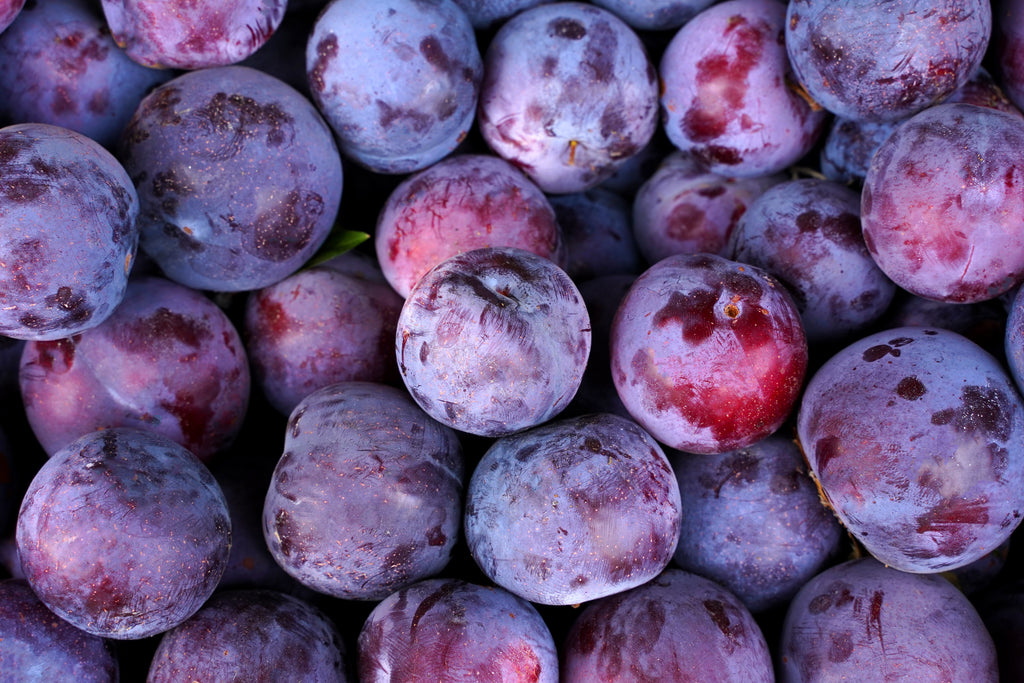 Natural PLUM Kernel Oil