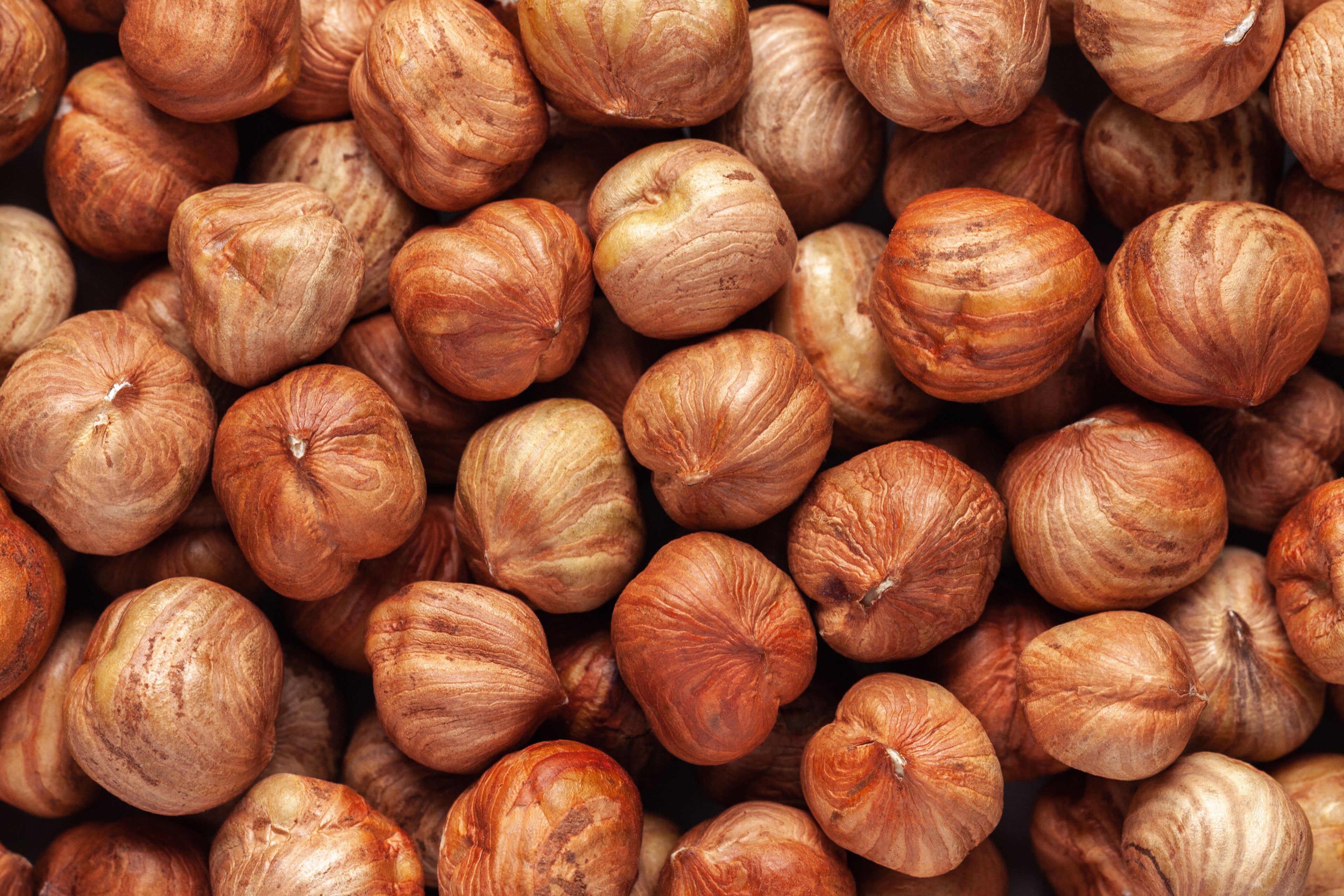 Natural HAZELNUT Kernel Oil