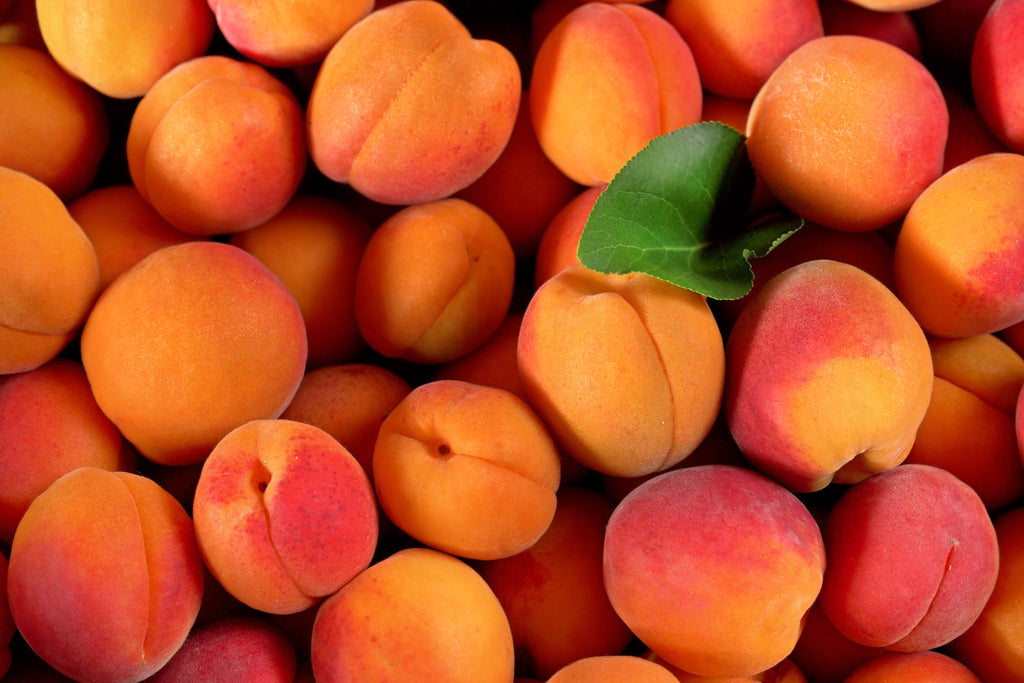Natural APRICOT Kernel Oil